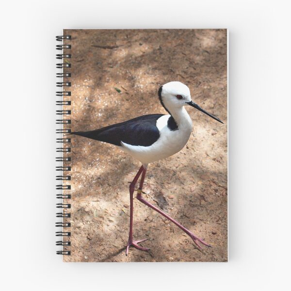 Item preview, Should Have Been A Ballerina designed and sold by Clive.