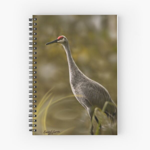 Artikelvorschau, Heron or Sandhill...? entworfen und verkauft von sandraalberts.