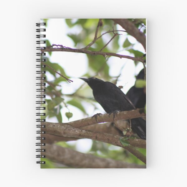 Item preview, black bird designed and sold by SLICEBREAD .