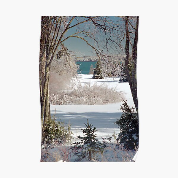 Icey Winter Wonderland Poster