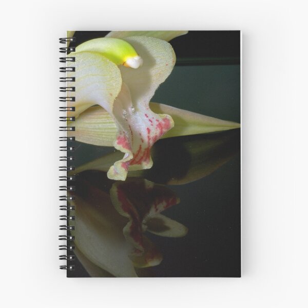 Item preview, Orchid Reflection designed and sold by pnjmcc.