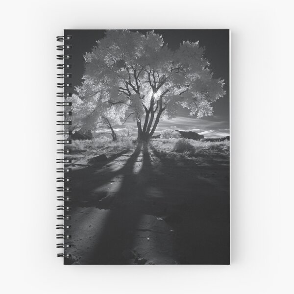 Item preview, Cottonwood Shadows, Part II designed and sold by Clayhaus.