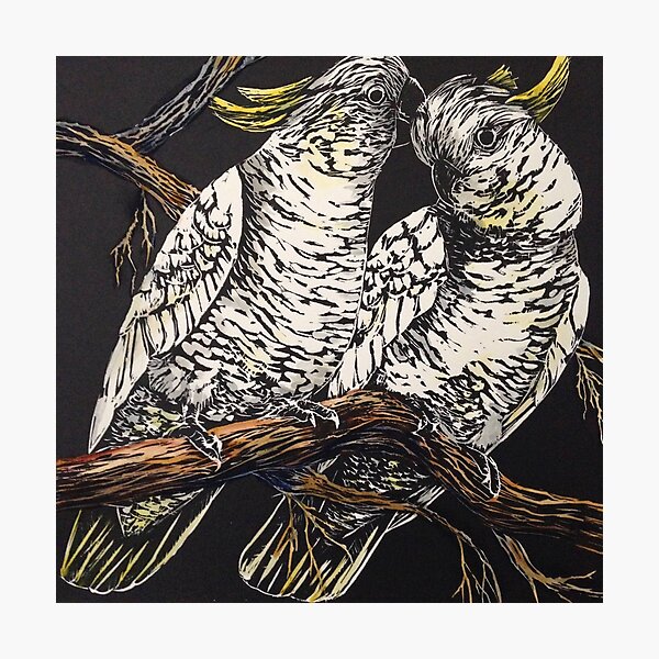 Cockatoo Couple Photographic Print