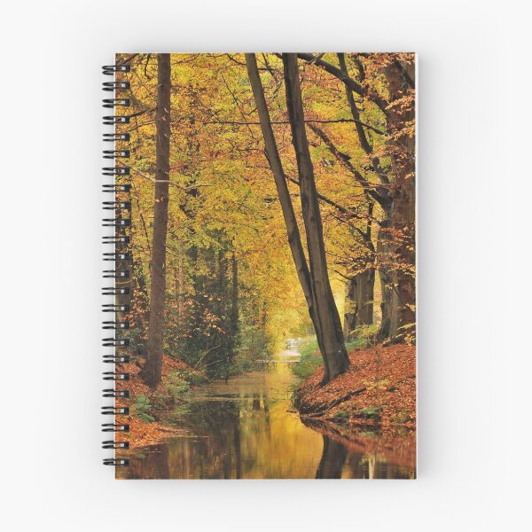 Aperçu de l'œuvre  52 commentaires et 31 favoris.

Présenté dans:
Un jardin quelque part
Paysages saisonniers
Des arbres créée et vendue par Lightthinker.