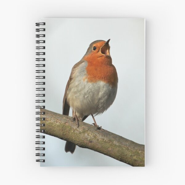 Item preview, Robin Singing designed and sold by Robert Abraham.