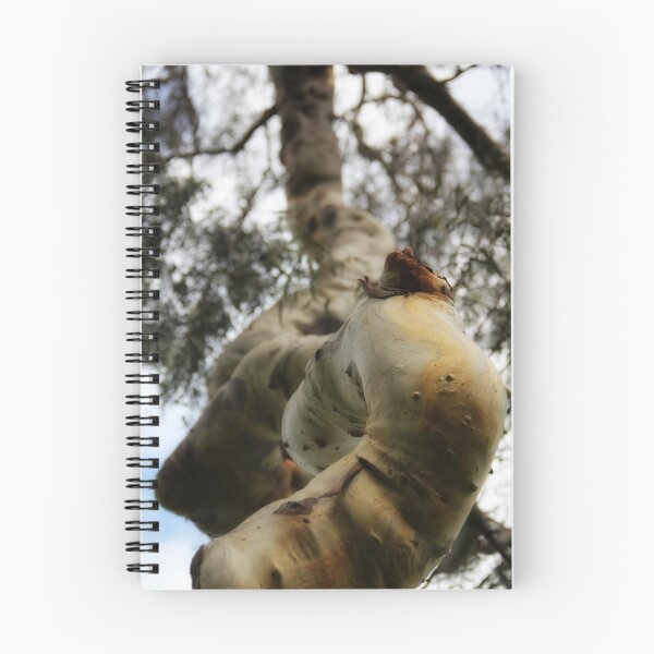 Aperçu de l'œuvre Tree Branch créée et vendue par Beh Meng Khiang.