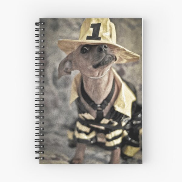 Item preview, charley designed and sold by Jeannie Peters.