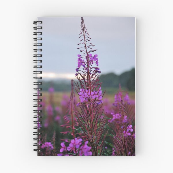 Item preview, Rose Bay Willow Herb designed and sold by Lindamell.
