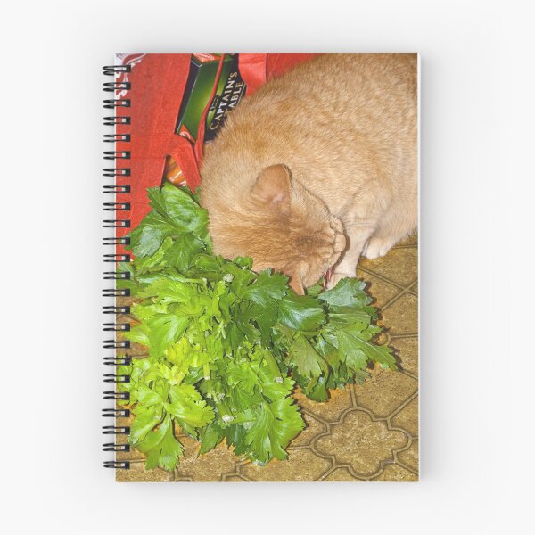 Artikelvorschau, Catnip! Phooey - give me Celery! entworfen und verkauft von Odille Esmonde-Morgan.