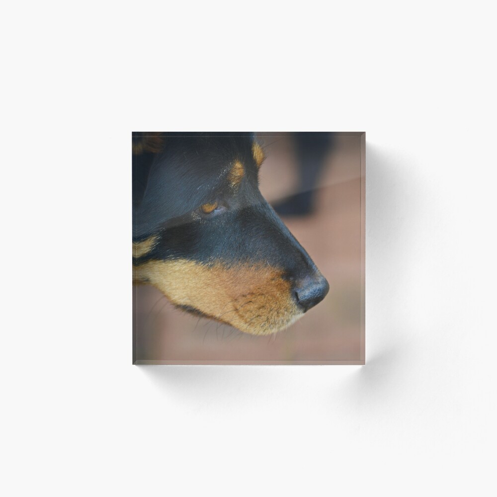 My name is Gem, how do you do! Acrylic Block