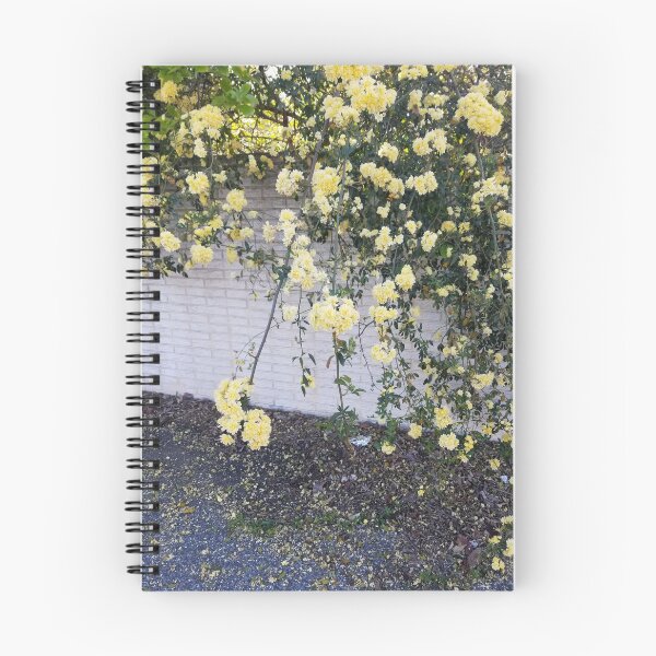 Item preview, Yellow Roses designed and sold by 1437.