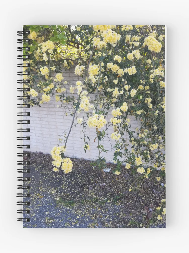 Thumbnail 1 of 3, Journal, Yellow Roses designed and sold by 1437.