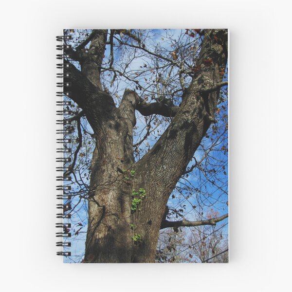 Item preview, Growing Vine on Tree designed and sold by Picture-It.