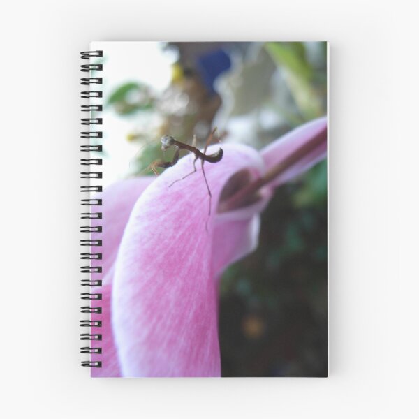 Item preview, an insect dancing on a cyclamen petal designed and sold by chrisjf56.