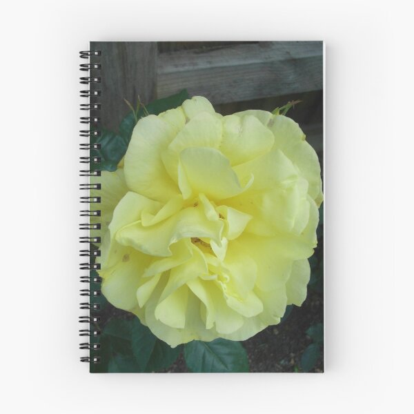 Item preview, the beauty of a rose... designed and sold by chrisjf56.
