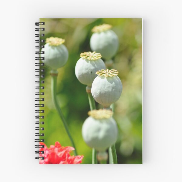 Item preview, Opium Poppy designed and sold by Rob Moffatt.