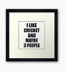 CRICKET Lover Funny Gift Idea I Like Hobby Framed Print