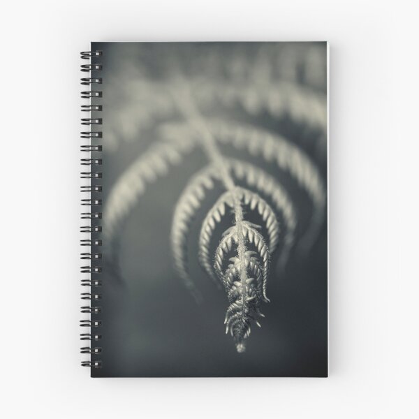 Item preview, Silver folds designed and sold by Vikram Franklin.