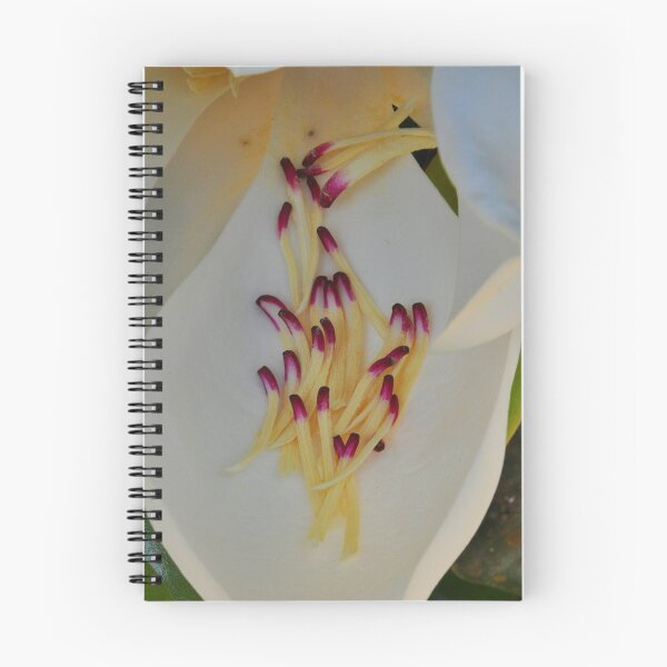 Item preview, Magnolia Blossom designed and sold by BrianDawson.