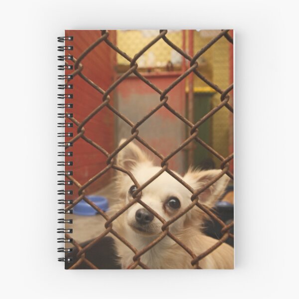 Item preview, BUT WHY AM I HERE? designed and sold by annie curry.
