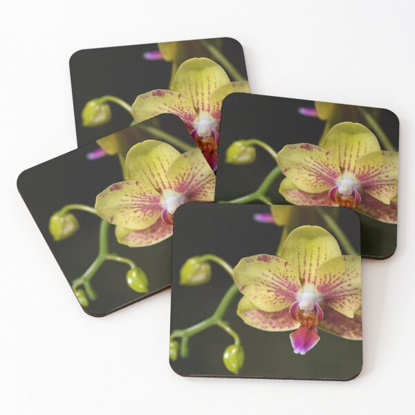 Item preview, Rich Green and Reddish Orchid  designed and sold by Joy Watson - Natural Light Photography .