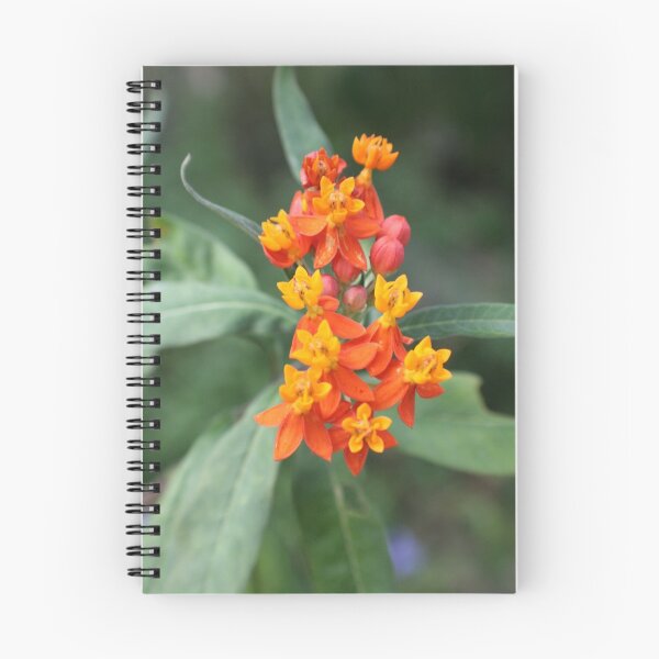 Item preview, Still In Bloom designed and sold by Dana Yoachum.