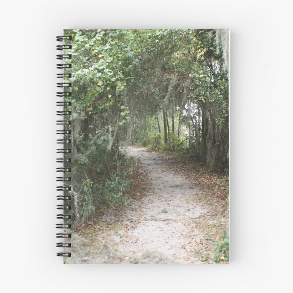 Aperçu de l'œuvre Along The Beaten Path créée et vendue par Dana Yoachum.