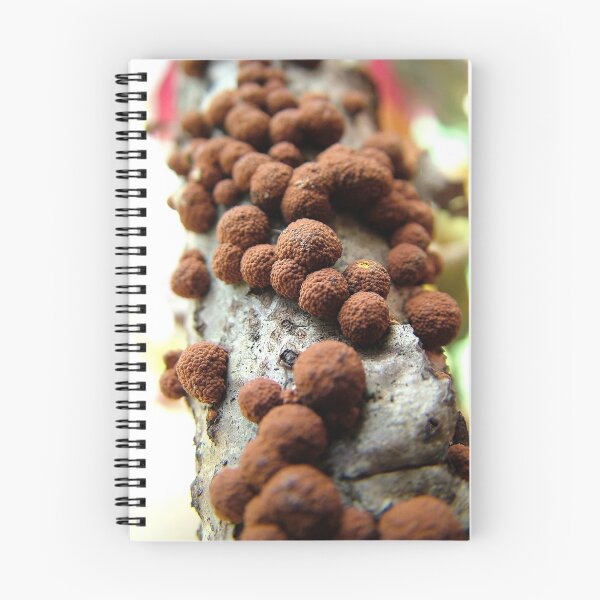 Item preview, what kinda bobbley mushroom?? designed and sold by Nachaya.