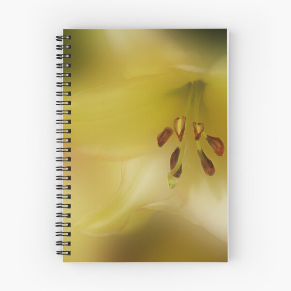 Item preview, Offering designed and sold by enchantedImages.