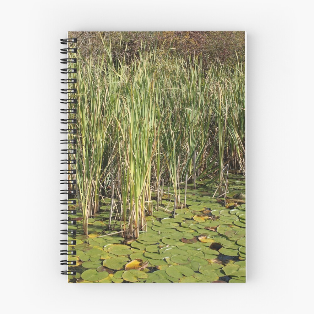 Item preview, Spiral Notebook designed and sold by offthewheel.