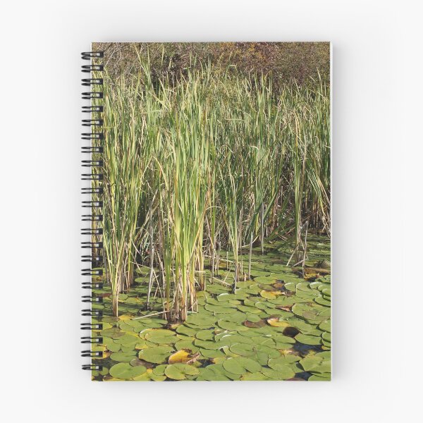 Item preview, Hidden In The Reeds designed and sold by J.K. Sanchez.