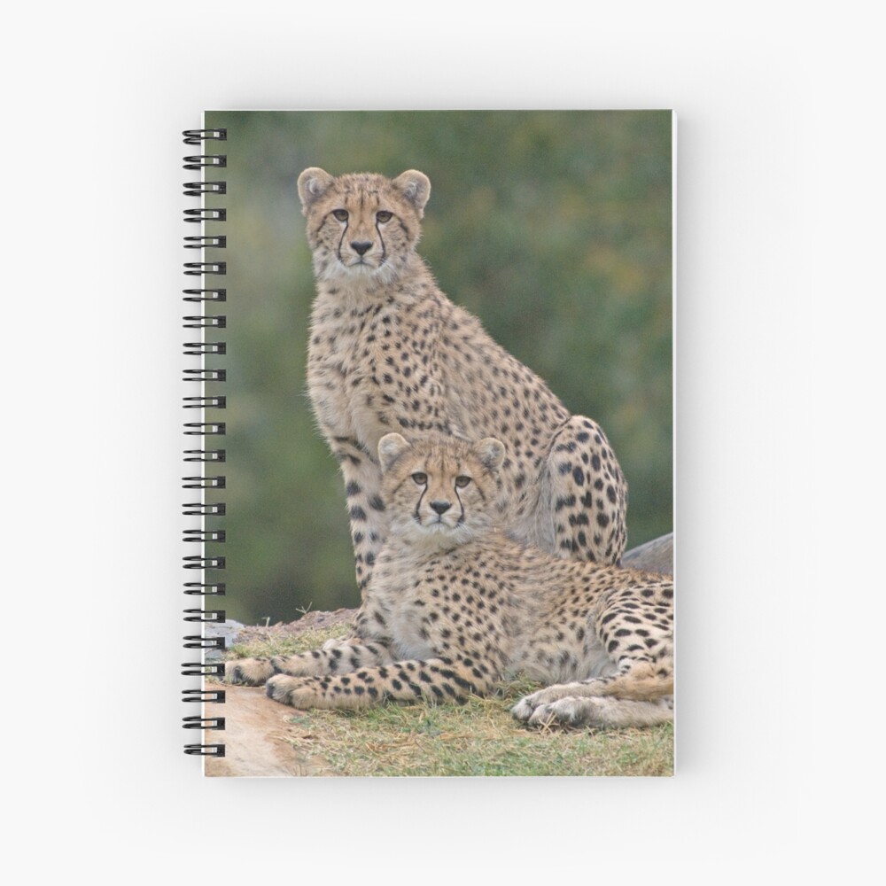 Brothers Spiral Notebook