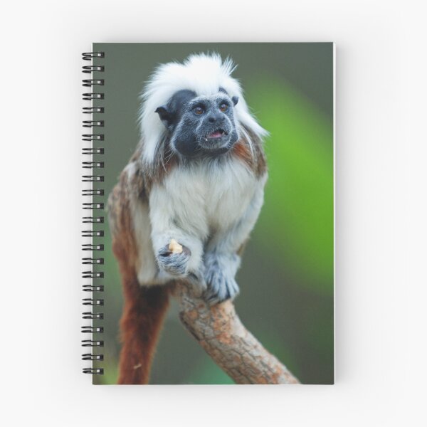 Item preview, Cotton Top Tamarin designed and sold by Brad F.