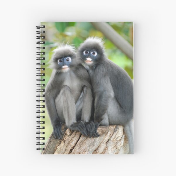 Dusky Leaf Monkeys Spiral Notebook