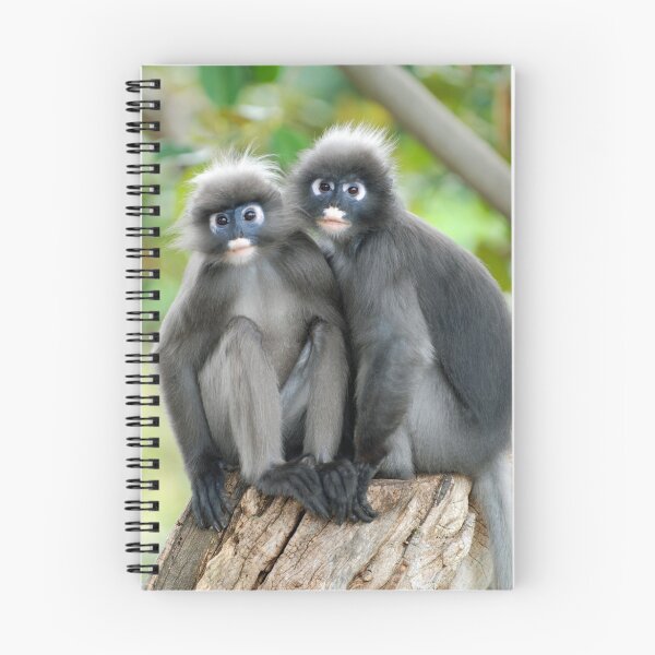 Artikelvorschau, Dusky Leaf Monkeys entworfen und verkauft von Brad F.