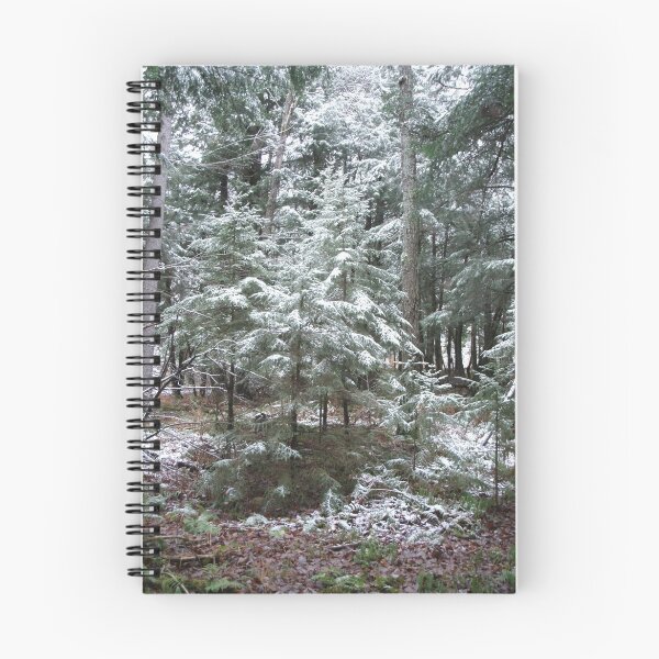 Item preview, First Dusting designed and sold by linmarie.
