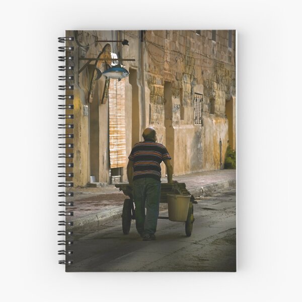 Aperçu de l'œuvre FISH HAWKER créée et vendue par Ronald cox.