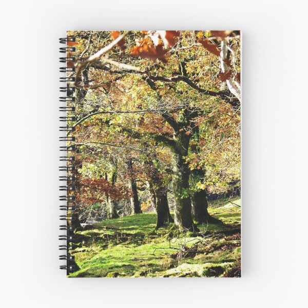 Item preview, Deep in the Woods designed and sold by artfulvistas.