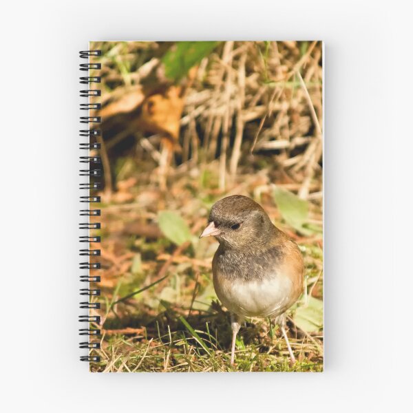 Item preview, Dark Eyed Junco ~ Oregon Race designed and sold by TeresaB.