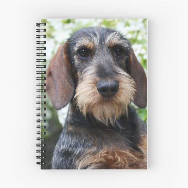 Item preview, Hamish designed and sold by Joanne Emery.