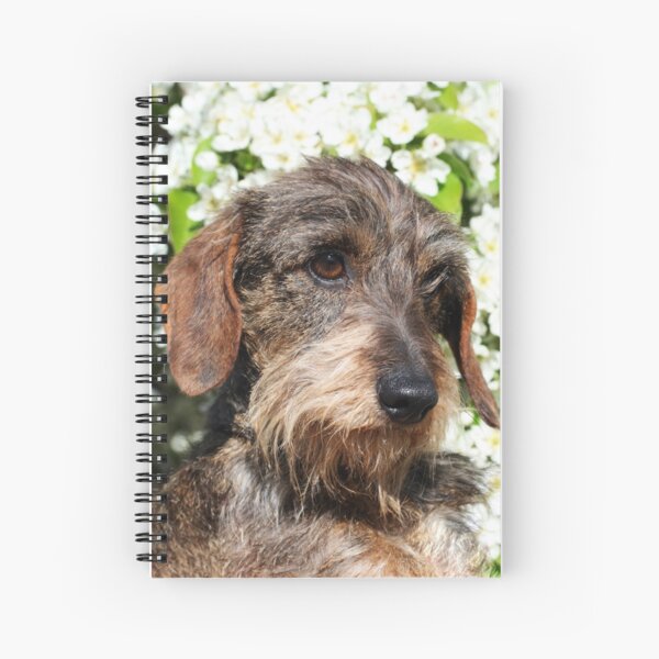 Piper Spiral Notebook