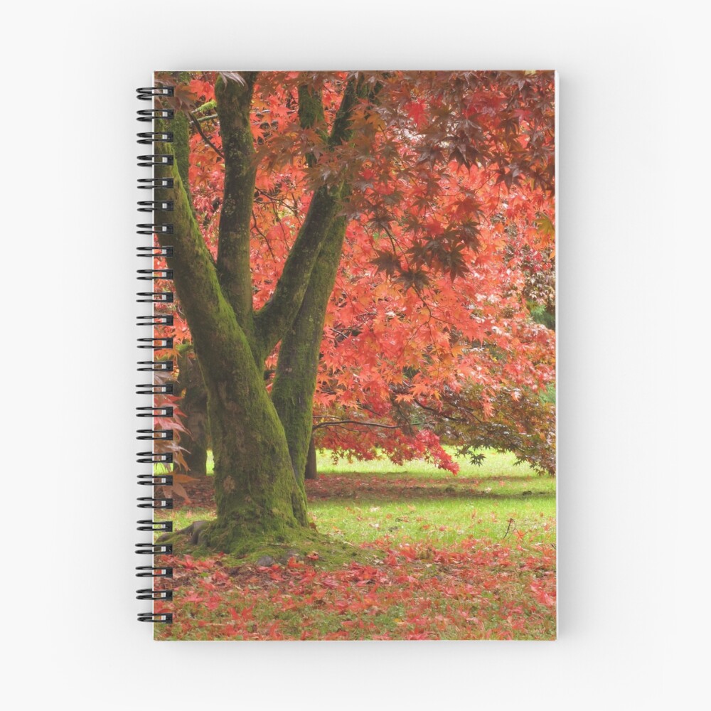 Item preview, Spiral Notebook designed and sold by PatsyJennings.
