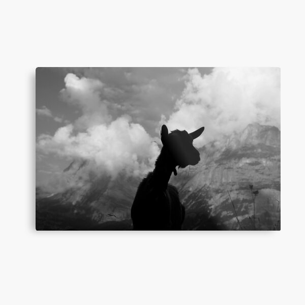 Grindy Goat Metal Print