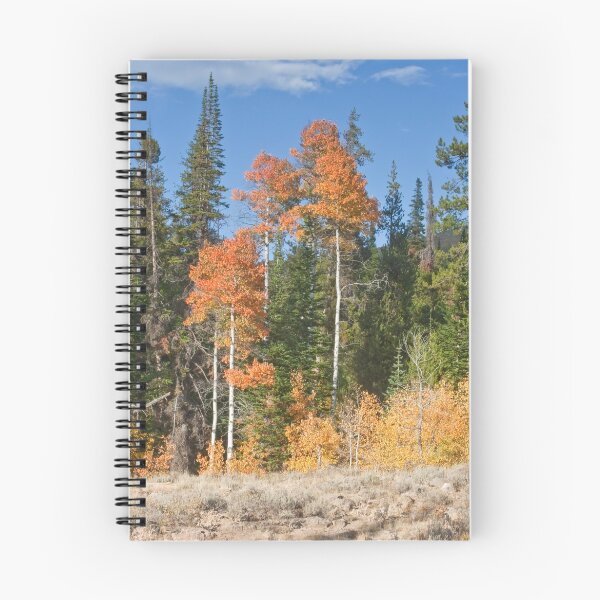 Item preview, Aspen in Idaho - 3 designed and sold by Forrest  Ray.
