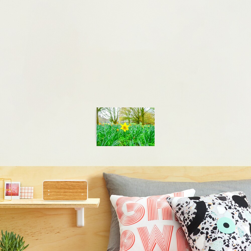 Item preview, Photographic Print designed and sold by VJNewman.