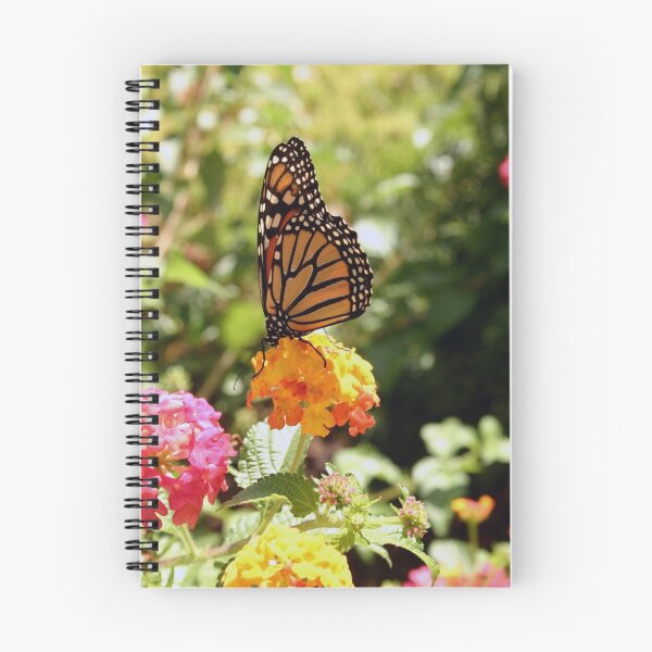 Aperçu de l'œuvre Butterfly Beauty créée et vendue par Carol Bock.
