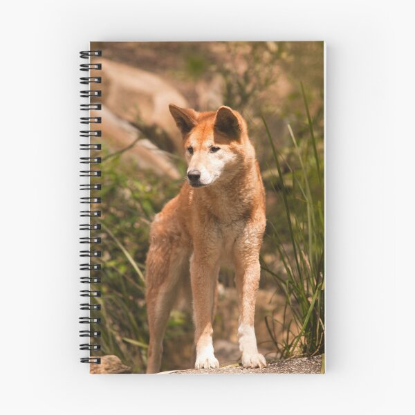 Item preview, Australian Dingo designed and sold by Froggie.