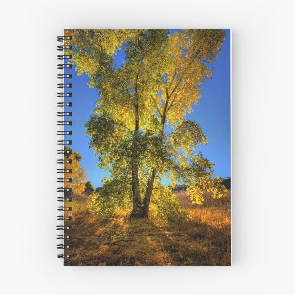 Artikelvorschau, Gary The Tree entworfen und verkauft von Bob Larson.