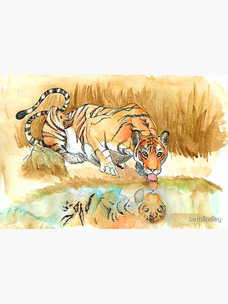 A Tiger Having a Drink by bethlindley