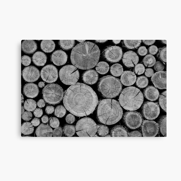 Swiss Wood Canvas Print